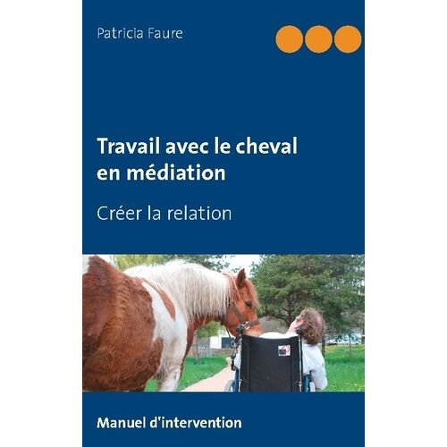 Travail Avec Le Cheval En Médiation - Créer La Relation