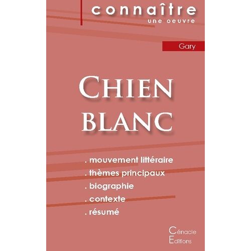 Chien Blanc - Fiche De Lecture