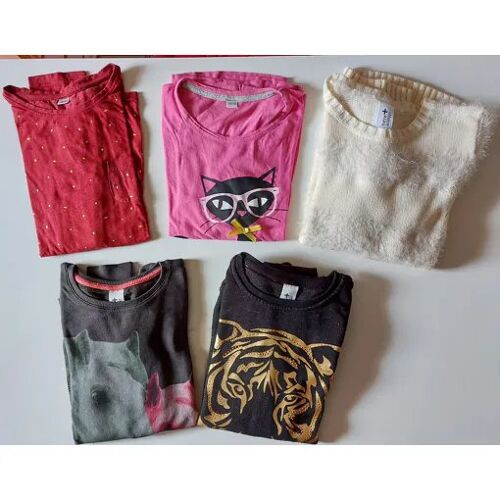 Lot Vêtements Fille - 12 / 14 Ans (158 / 164) - Automne Hiver - 2 Tee-Shirt Manches Longues, 2 Sweat, 1 Pull