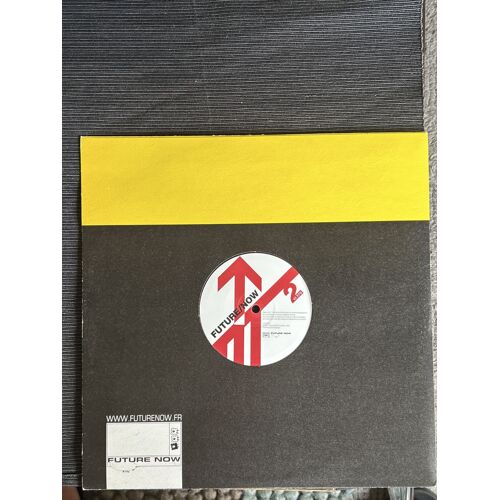 Maxi 45 Tours Vinyle : Future Now : « The Future Is Now »