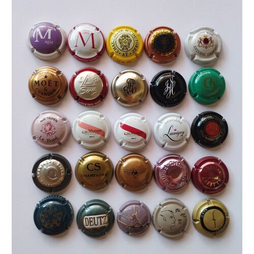 Lot 25 Capsules (23 Champagne + 2 Mousseux)