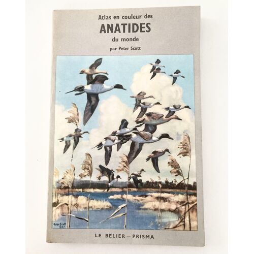 Atlas En Couleur Des Anatidés Du Monde - Peter Scott