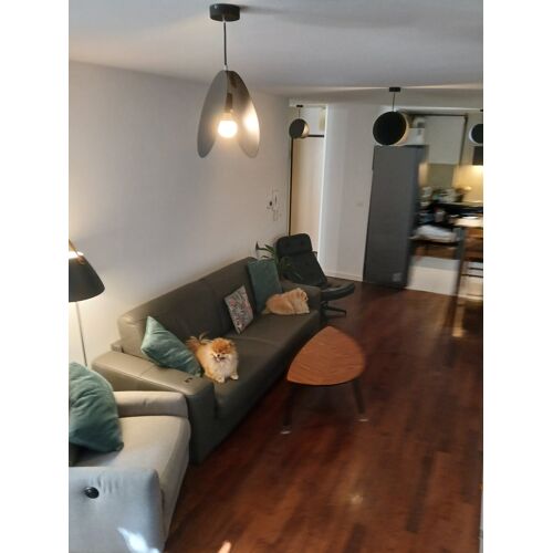superbe fauteuil cuir Ikea Havberg livré non utilisé trop profond enlèv ikea imp