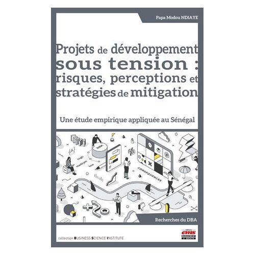 Projets De Développement Sous Tension : Risques, Perceptions Et Stratégies De Mitigation