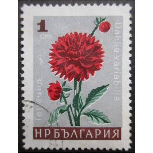 Bulgarie N°1475 Fleur Oblitéré