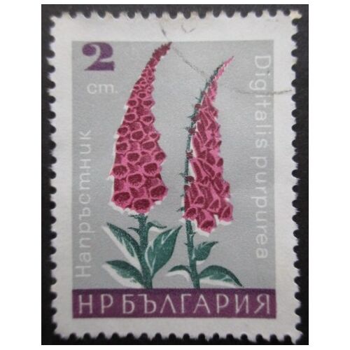 Bulgarie N°1477 Fleur Oblitéré