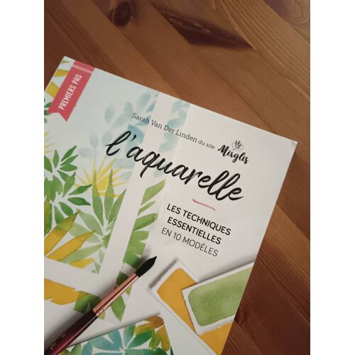 Mirglis Sarah Van Der Linden L'Aquarelle Les Techniques Essentielles En 10 Modèles