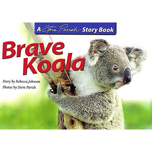 Brave Baby Koala