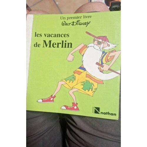 Les Vacances De Merlin