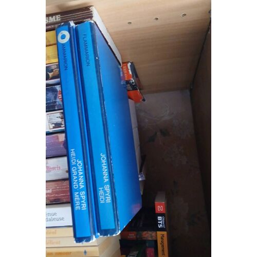 Heidi Flammarion Lot De 2 Livres