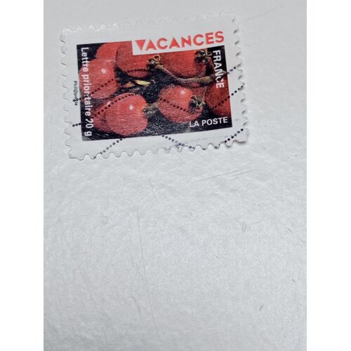 France Timbre Lettre 20g Oblitéré Autoadhesif Yvert N° 320 Série Vacances Tomates En Grappe De 2009