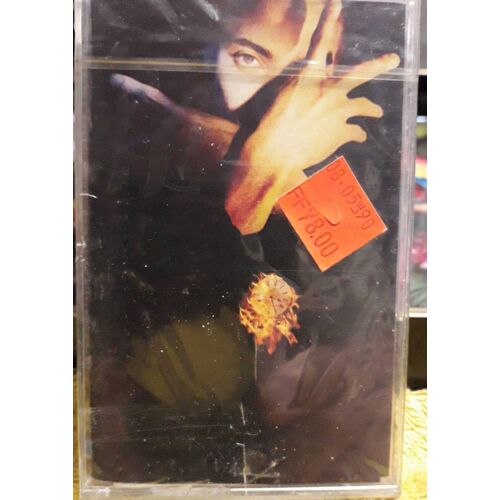 Terence Trent Darby'S Neither Fish Nor Flesh