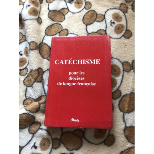 Catéchisme Pour Les Diocèses De Langue Française D’Après Le Chanoine Quinet Et Le Chanoine Boyer