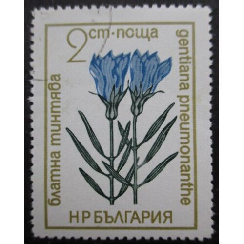 Bulgarie N°1974 Fleur Oblitéré