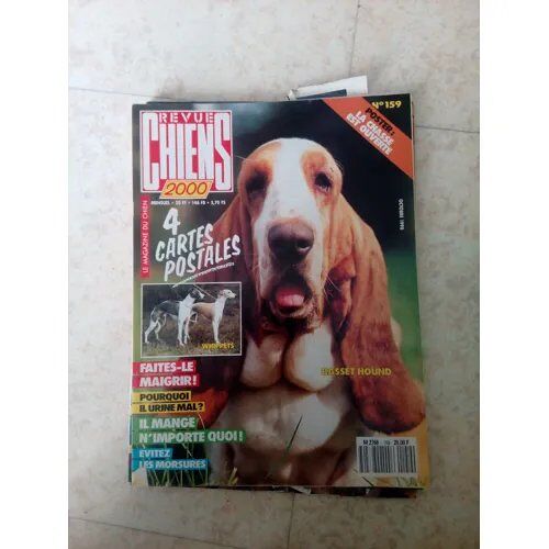 Revue Chiens 159 De 2000 Bassey Hound,Levriers Whippet