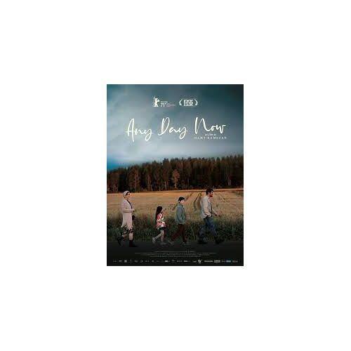 Any Day Now De Eric Aronson Avec Paul Guilfoyle, Taylor Gray... - Affiche Originale Du Film Format 120 X 160 Cm