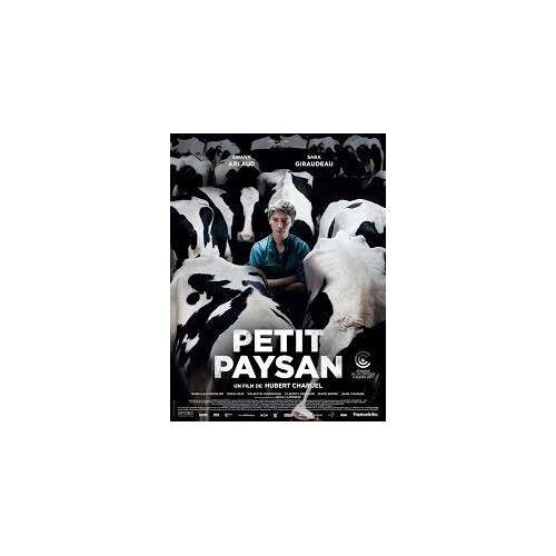 Petit Paysan De Hubert Charuel Avec Swann Arlaud, Sara Giraudeau, Bouli Lanners... - Affiche Originale Du Film Format 120 X 160 Cm