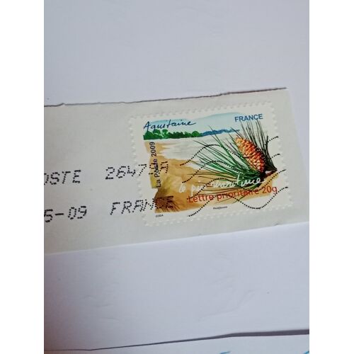 Timbre France Oblitéré Lettre 20g Autoadhesif Yvert N° 309 Le Pin Maritime Aquitaine De 2009