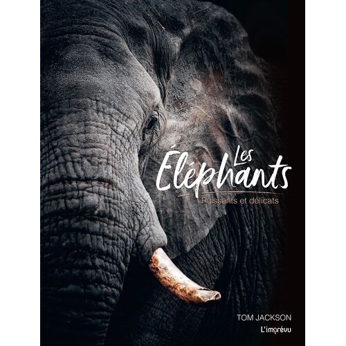 Les Éléphants - Puissants Et Délicats