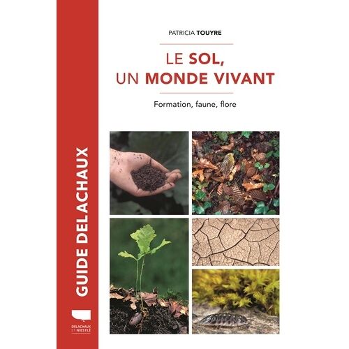 Le Sol, Un Monde Vivant - Formation, Faune, Flore