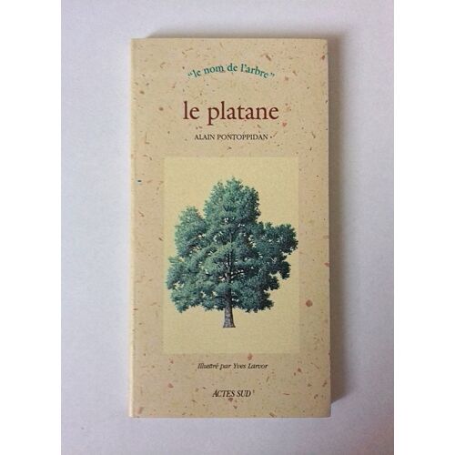Le Platane - Collection "Le Nom De L'Arbre" - Alain Pontoppidan - Illustrations D'Yves Larvor - Actes Sud 1996