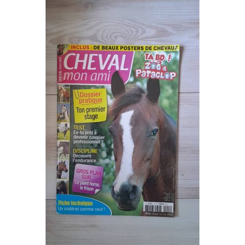 Cheval Mon Ami N°12 (2012)