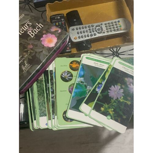 Fleurs De Bac Le Jeu