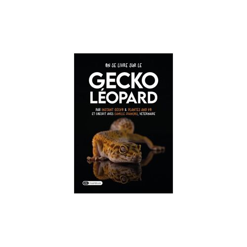 On Se Livre Sur Le Gecko Léopard