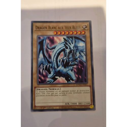 Dragon Blanc Aux Yeux Bleus