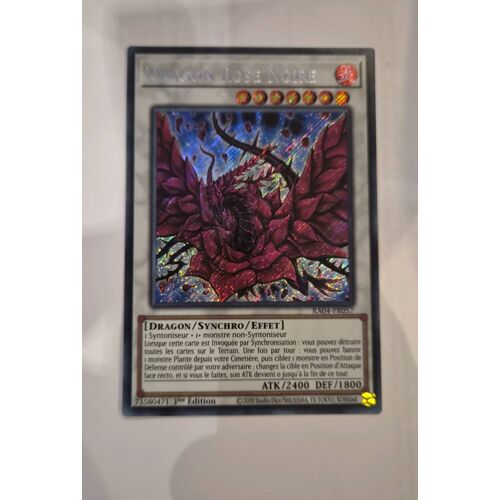 Dragon Rose Noire