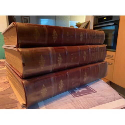 Dictionnaire Des Mots Et Des Choses Ou Encyclopédie Des Écoles Des Métiers Et De La Vie Pratique En 3 Tomes . Auteurs : Mm. Larive Et Fleury. Edition 1891 En Cuir.