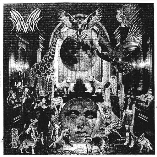 Never - The Gray [Vinyl Lp]