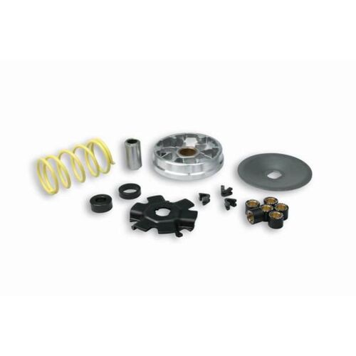 Variateur Malossi Pour Mobylette Piaggio 50 Bravo 513863 Neuf