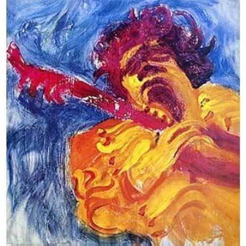 Jimi Hendrix Concerts [Analog]