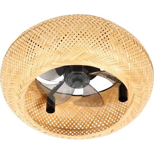 Ventilateur De Plafond Avec Lumière Farelek Canisséa 50 Cm