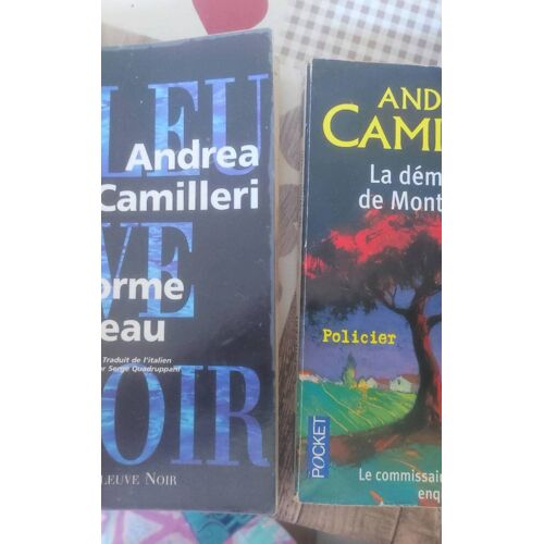 Andrea Camilleri - La Forme De L Eau + La Démission De Montalbano = 2 Polars En Poche