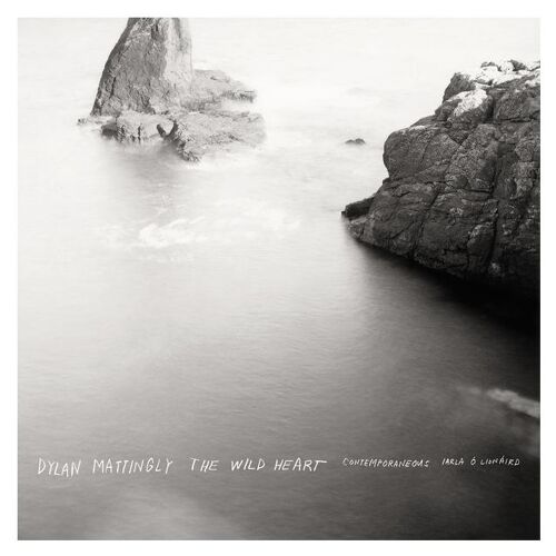 The Wild Heart - Cd Album