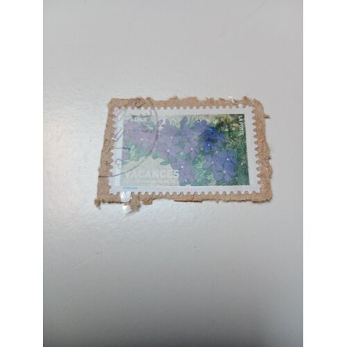 Timbre France Oblitéré Lettre 20g Yvert N° 4039 Vacances Autoadhesif Gentian Bleue De 2007 +