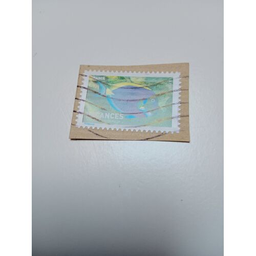 Timbre France Oblitéré Lettre 20g Yvert N°4038 Vacances Poisson Chirurgien. A Poitrine Blanche De 2007