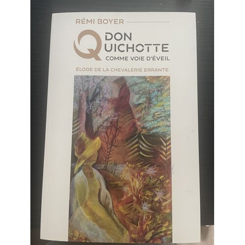 Don Quichotte Comme Voie D'Éveil Auteur : Rémi Boyer