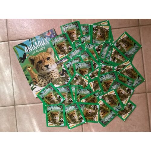 Panini - Animaux, Les Records - Album Vide + 60 Pochettes Neuves