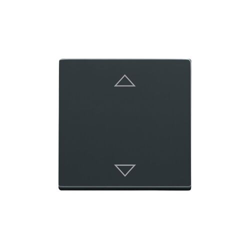 Busch-Jaeger solo Élément de commande pour 6430-81-102 Jalousiecontrol II anthracite, Bouton + interrupteur, Gris