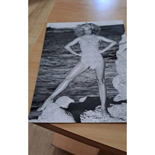 Photo Sylvie Vartan 24× 17.5 Année 80