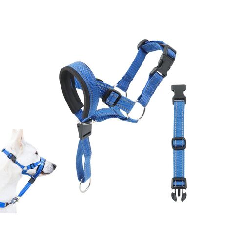 Collier De Tête Réglable Anti-Traction Pour Chiens À Museau Long - Taille L