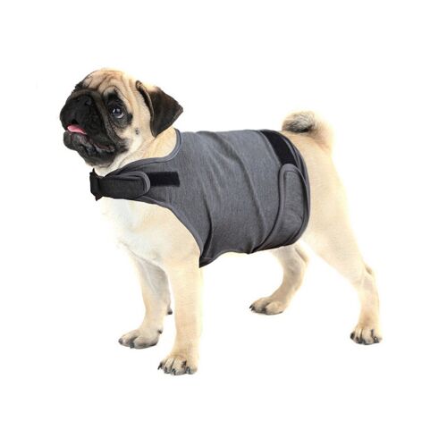 Gilet Apaisant Ajustable Pour Chiens, Taille 2xl - Soulage L'anxiété Pendant Les Orages