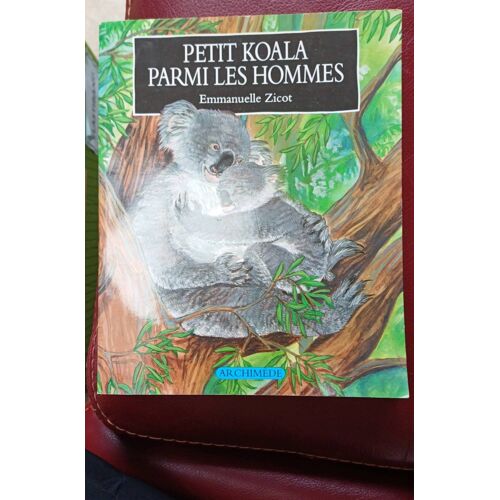 Petit Koala Parmi Les Hommes
