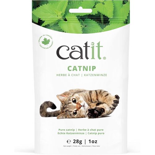 KALANKA-Véritable Herbe à Chat composée de Feuilles et de Fleurs séchées d'herbe à Chat de qualité canadienne, Sachet de 28 g