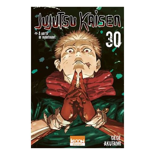 Jujutsu Kaisen T30