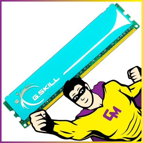 2Go RAM DDR2 PC2-8500 F2-8500CL5D-4GBPK DIMM Mémoire PC MonsieurCyberman