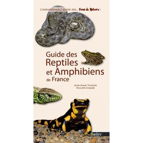 Guide Des Reptiles Et Amphibiens De France